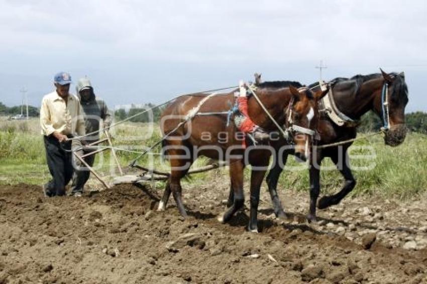 SAN SALVADOR EL VERDE . CAMPESINOS