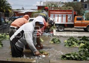 LAVADO DE VERDURAS . TEXMELUCAN