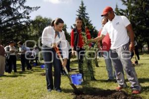 JORNADA ECOLÓGICA . DIF