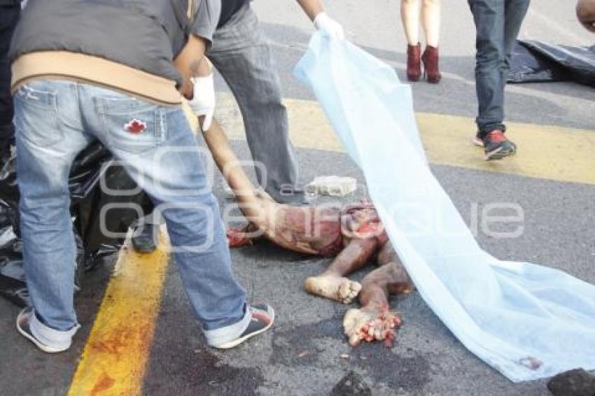 NOTA ROJA . ATROPELLADO EN AUTOPISTA