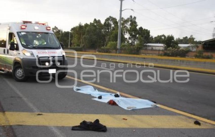 NOTA ROJA . ATROPELLADO EN AUTOPISTA