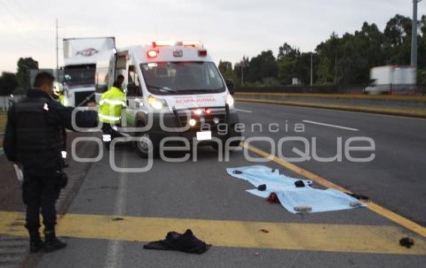 NOTA ROJA . ATROPELLADO EN AUTOPISTA