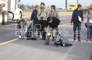 NOTA ROJA . ATROPELLADO EN AUTOPISTA