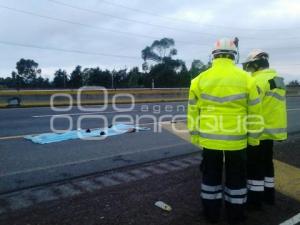 NOTA ROJA . ATROPELLADO EN AUTOPISTA