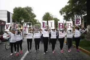 INE . CAMINATA POR LA DEMOCRACIA