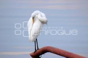 DÍA MUNDIAL DEL MEDIO AMBIENTE