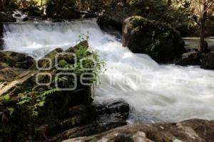 DÍA MUNDIAL DEL MEDIO AMBIENTE