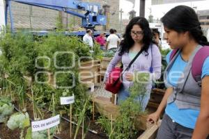 MUESTRA DE AGRICULTURA FAMILIAR URBANA