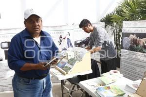 UPAEP . CONVENCIÓN MEDIO AMBIENTE