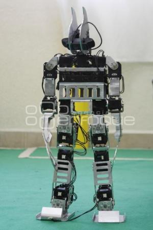 ROBOTS . TEXMELUCAN