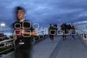 CARRERA ELECTRIC NIGHT 5K