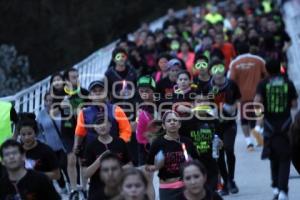 CARRERA ELECTRIC NIGHT 5K