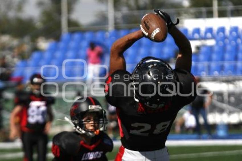 CONVIVENCIA FÚTBOL AMERICANO LOBOS BUAP