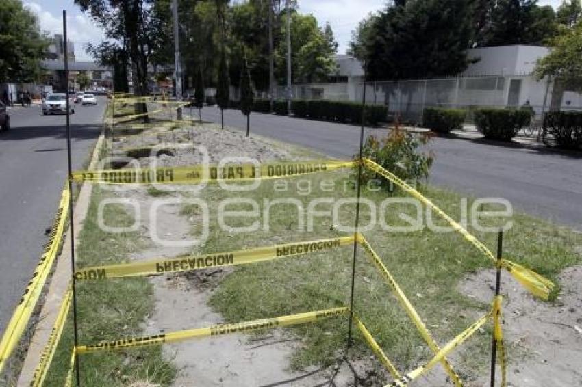 PARQUE LINEAL UNIVERSITARIO