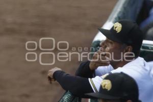 BÉISBOL . PERICOS VS SULTANES