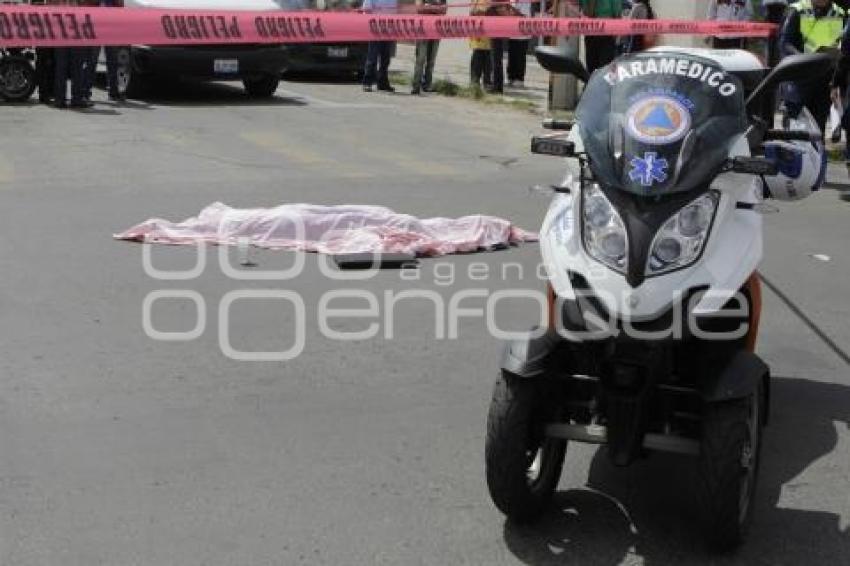 MUERE MUJER ATROPELLADA