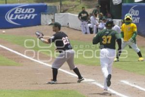 BEISBOL. PERICOS VS BRONCOS