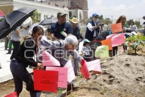 MANIFESTACIÓN PIRÁMIDE CHOLULA