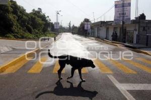 PAVIMENTACIÓN DE LA 11 SUR A AZUMIATLA