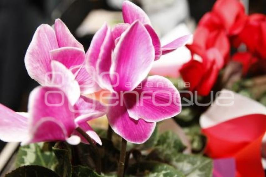 EXPO FLORES Y PLANTAS ATLIXCO