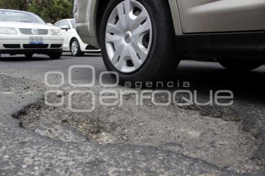 BACHES