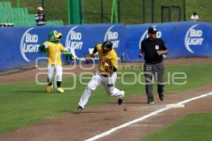 BEISBOL . PERICOS VS PIRATAS