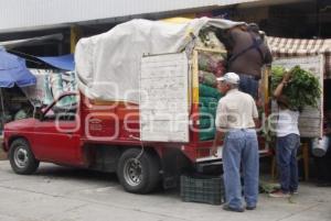 DOMINGO DE PLAZA . ACATLÁN DE OSORIO