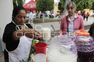 FERIA DEL MOLOTE