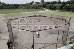 CAMPEONATO NACIONAL DE BEISBOL