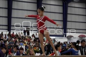 COMPETENCIAS GIMNASIA . INPODE