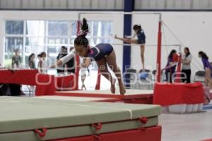 COMPETENCIAS GIMNASIA . INPODE