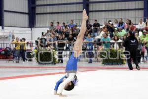 COMPETENCIAS GIMNASIA . INPODE