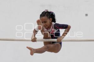 COMPETENCIAS GIMNASIA . INPODE