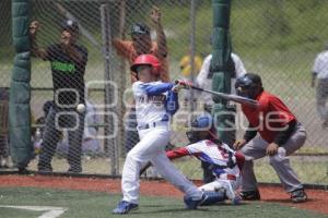 CAMPEONATO NACIONAL DE BEISBOL