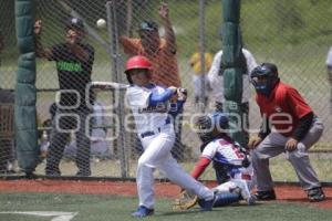 CAMPEONATO NACIONAL DE BEISBOL