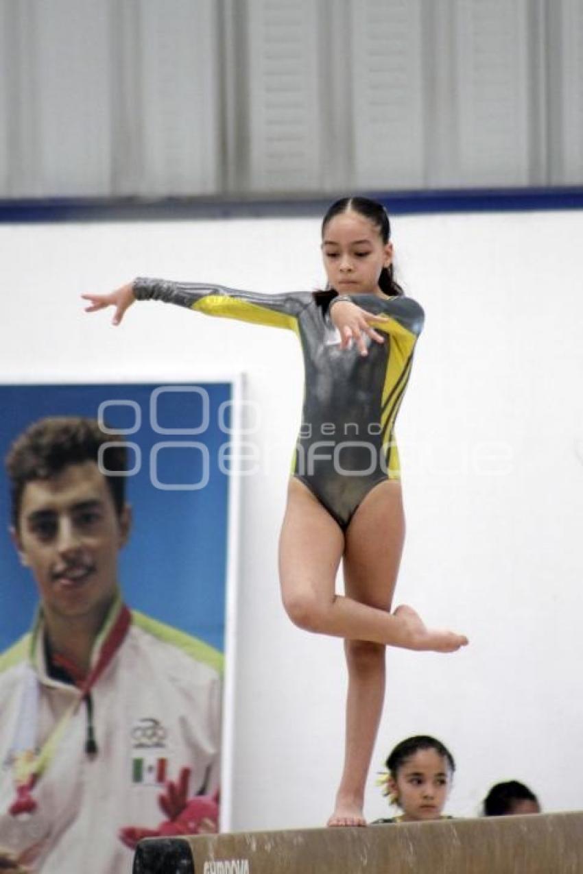 COMPETENCIAS GIMNASIA . INPODE
