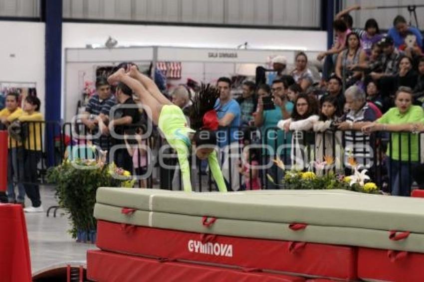 COMPETENCIAS GIMNASIA . INPODE