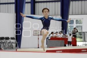 COMPETENCIAS GIMNASIA . INPODE