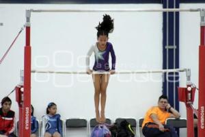 COMPETENCIAS GIMNASIA . INPODE