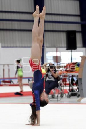 COMPETENCIAS GIMNASIA . INPODE