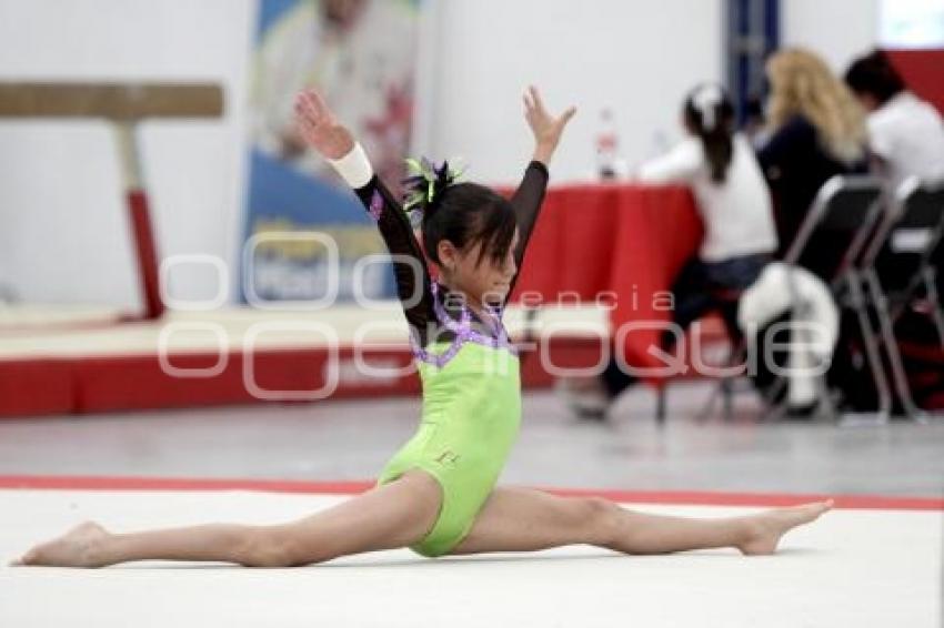 COMPETENCIAS GIMNASIA . INPODE