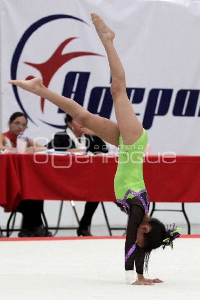 COMPETENCIAS GIMNASIA . INPODE