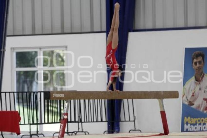 COMPETENCIAS GIMNASIA . INPODE