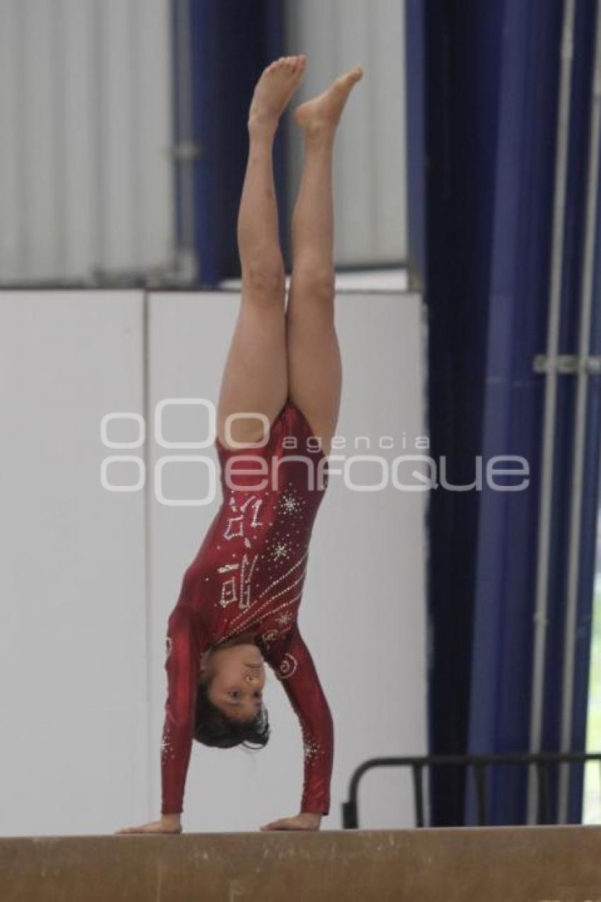 COMPETENCIAS GIMNASIA . INPODE