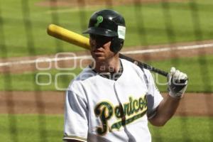 BÉISBOL . PERICOS VS TOROS DE TIJUANA