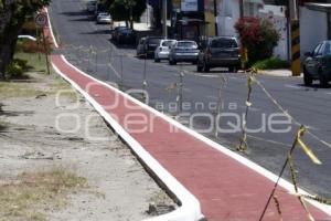 PARQUE LINEAL UNIVERSITARIO