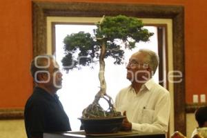 CONGRESO INTERNACIONAL DE BONSAI