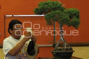 CONGRESO INTERNACIONAL DE BONSAI