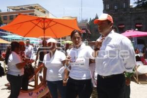 PLAYA ARTIFICIAL . ZOCALO