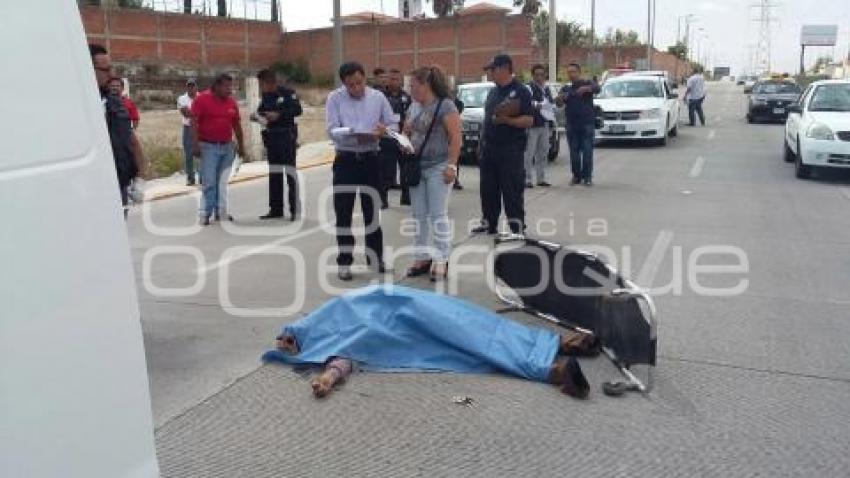 NOTA ROJA . ATROPELLADO